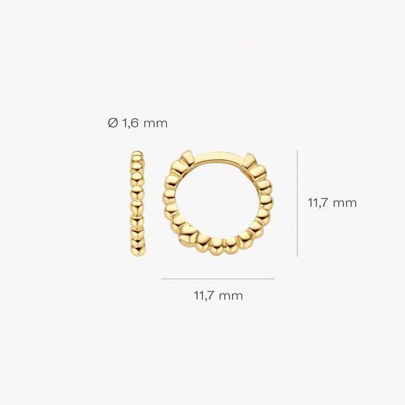 Ohrringe - 585er Gelbgold