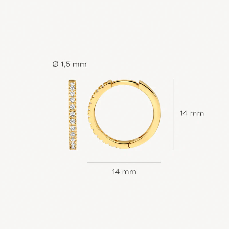 Ohrringe - 585er Gelbgold mit Zirkonia